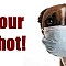 Dog Influenza Outbreak In Florida